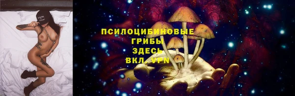 ГАЛЛЮЦИНОГЕННЫЕ ГРИБЫ Богданович
