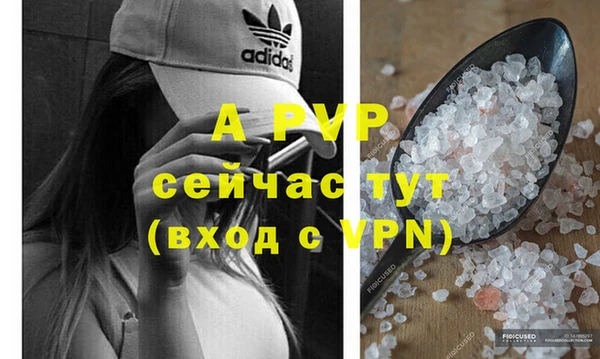 ГАЛЛЮЦИНОГЕННЫЕ ГРИБЫ Богданович