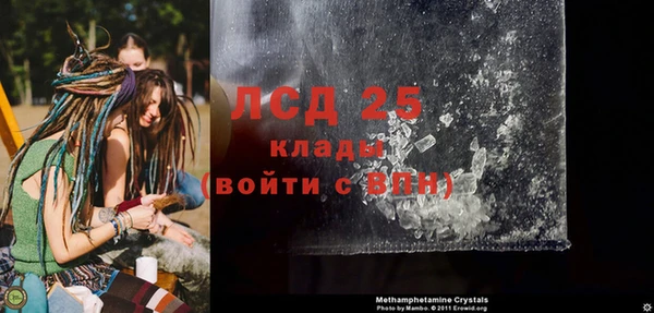 ГАЛЛЮЦИНОГЕННЫЕ ГРИБЫ Богданович