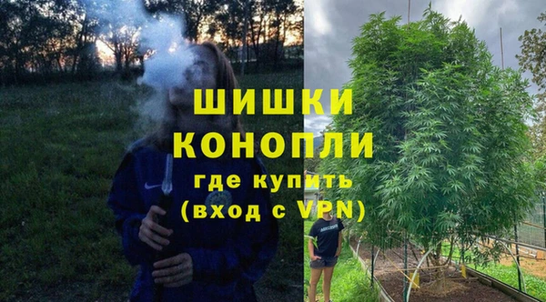 ГАЛЛЮЦИНОГЕННЫЕ ГРИБЫ Богданович