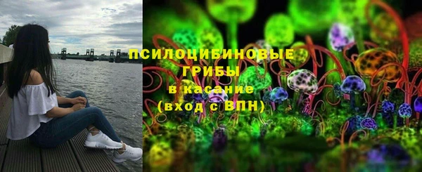 ГАЛЛЮЦИНОГЕННЫЕ ГРИБЫ Богданович